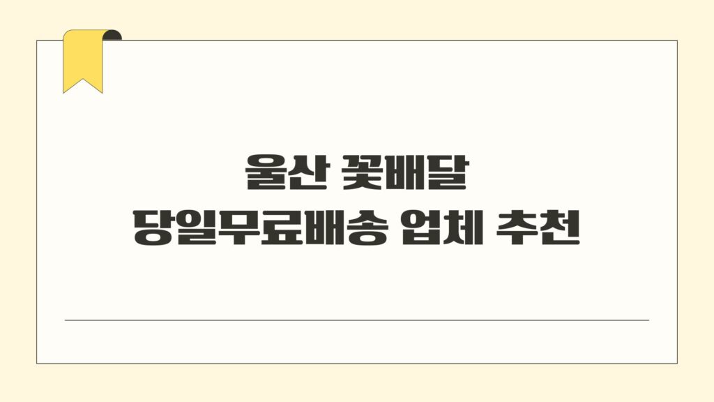 울산 꽃배달 당일무료배송 업체 추천