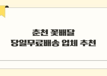 춘천 꽃배달 당일무료배송 업체 추천