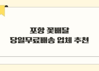 포항 꽃배달 당일무료배송 업체 추천