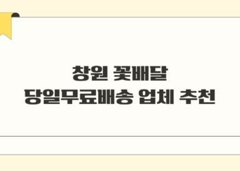 창원 꽃배달 당일무료배송 업체 추천