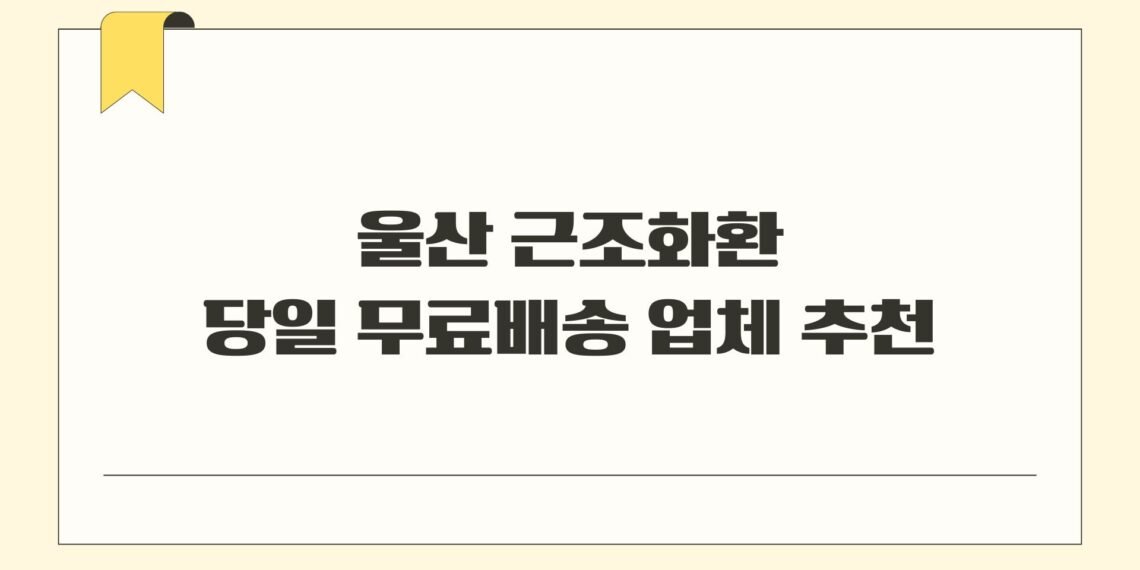 울산 근조화환 당일 무료배송 업체 추천