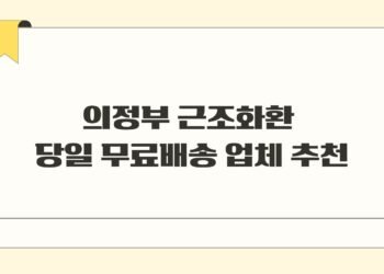 의정부 근조화환 당일 무료배송 업체 추천