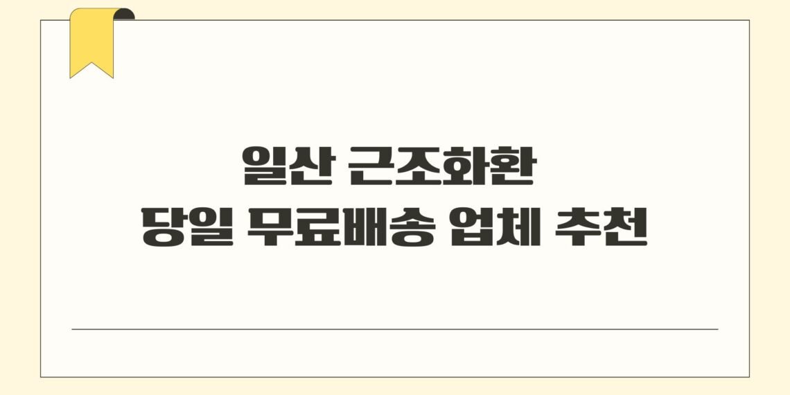 일산 근조화환 당일 무료배송 업체 추천