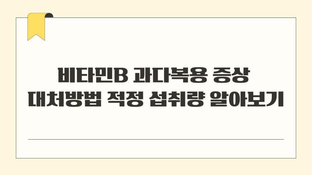 비타민B 과다복용 증상 대처방법 적정 섭취량 알아보기