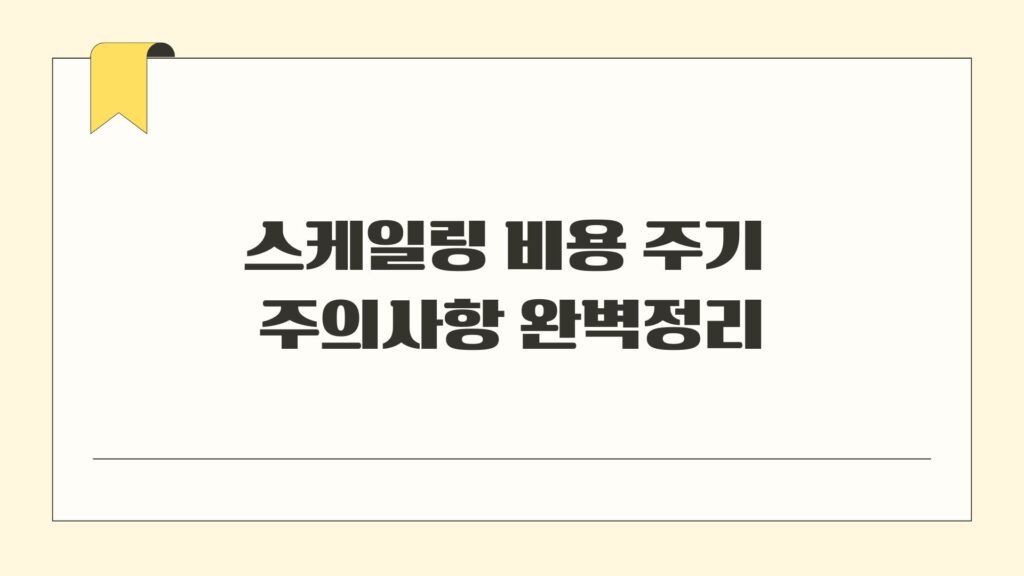 스케일링 비용 주기 주의사항 완벽정리