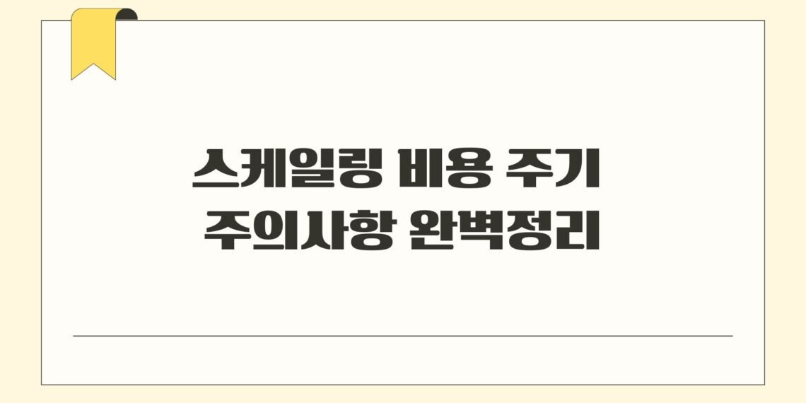 스케일링 비용 주기 주의사항 완벽정리