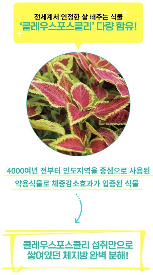 체지방 빼는 법 남재현 박사 다이어트로 감량하기